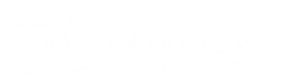 hollywoodsmileistanbul-logo