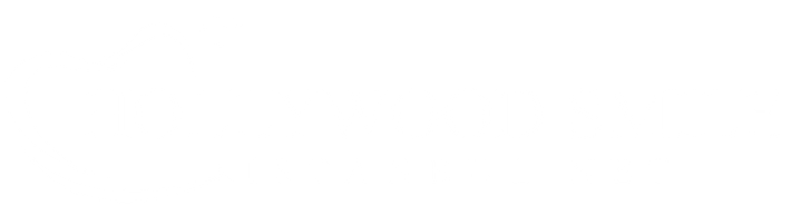 Hollywood Smile İstanbul