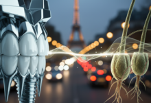 A conceptual image depicting a visual separation between a modern, gleaming dental implant on one side and an intricate, microscopic view of healthy hair follicles on the other. Both medical concepts are in sharp focus, set against a softly blurred backdrop of a Parisian street scene at dusk, with ambient streetlights. A subtle, luminous barrier or visual divide suggests a dilemma or choice between the two medical specializations. No text is visible.